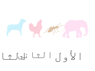 الاعداد الترتيبية by Om Yousef