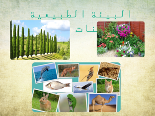 البيئة الطبيعية by Samira Elbedour