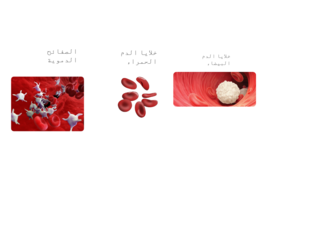 الخلايا  by hend rady