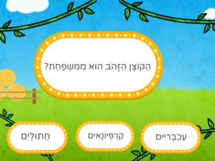 קוצן זהוב 2 by חן ואש