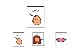 اعضاء الجسم 2 by Hadeel natsheh