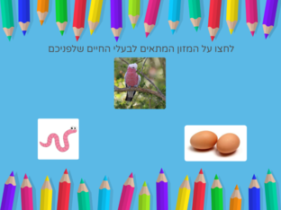 בעלי חיים by abeer azem