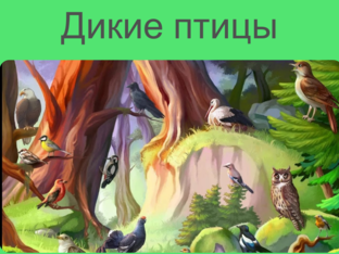 Дикие птицы by Ирина Воробьева