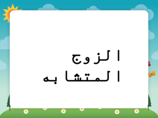 الزوج المتشابه by REEM AL_TORY