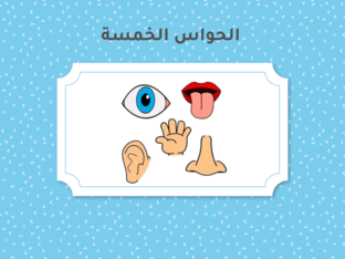 الحواس الخمسة by dana jwabreh