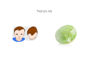 מה הביטוי by 