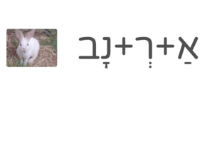 חלוקה להברות by christine karkabie