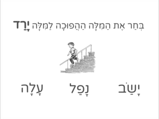 מעבד סמנטי by הדס בנציוני