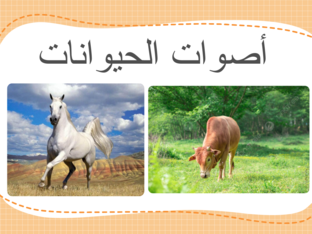 أصوات الحيوانات by khloud mosaad