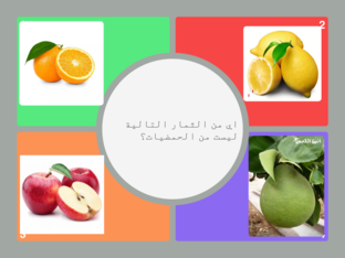فصل الشتاء by nisreen halak