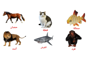 من أنا by Ghada Hussein