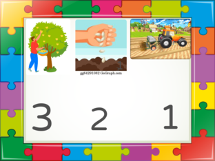 مراحل الزّراعة by دينا دينا