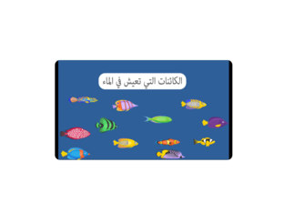 الحيوانات المائية by Amani Jaber