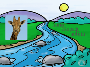 Животные  by Анастасия Ивахина