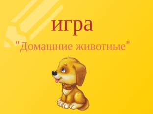 домашние животные. by 