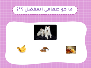 طعام الحيوانات by Adham Mohamed