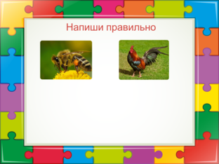 Напиши правильно by Светлана Бакуло