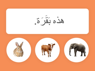 حيوانات المزرعة by Hajra