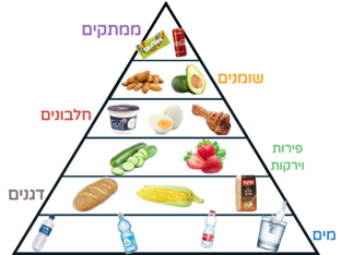 פירמידת המזון by Avital Unterberg
