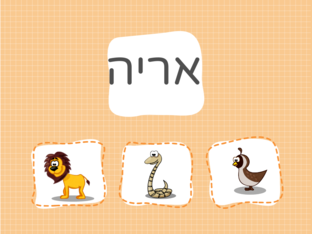 ניחוש חיות by tohar dadush