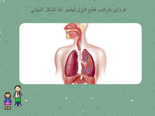 الجهاز التنفسي by 