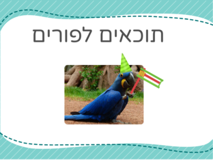 תוכאים לפורים by Orit Friedman