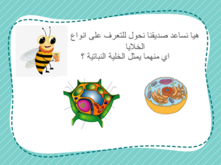 الخلية  by Walla EID MUBARAK AL RASHDI