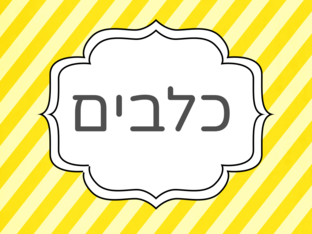 מצגת כלבים by christine karkabie