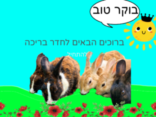 חדר בריכה by דולב יצחק