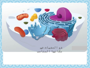 عضيات الخلية by Amal Sul