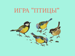 Игра "ПТИЦЫ" by Наталья Сухинина