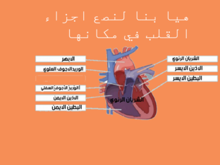 تركيب القلب by Rasha Abu Aisha
