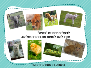 הורים וילדים by adi dayan