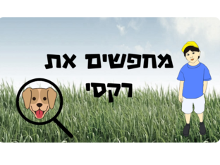 מחפשים את רקסי by רננה