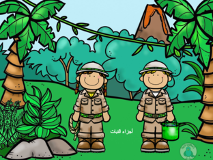 أجزاء النبات  by أمل الحسني