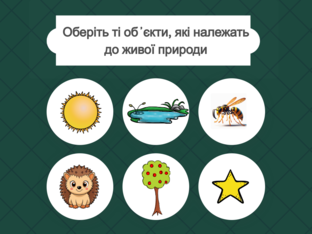 Я досліджую світ. 1 клас. Урок 11 by Atmospheric School