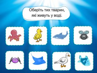 Я досліджую світ. 1 клас. Урок 40 by Atmospheric School