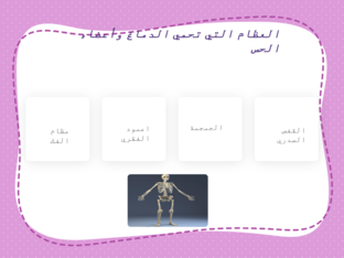 الهياكل العظمية  by asma AlAbri