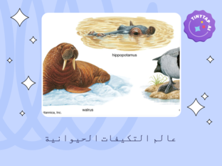 عالم التكيفات الحيوانية by hager elbarbary