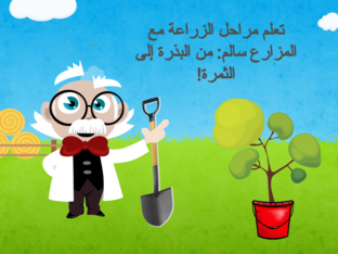 مراحل الزاعة  by Israa Abugosh
