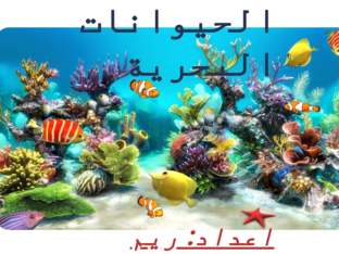 بزل الحيوانات البحرية by Réém Śh