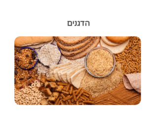 שיעור בנושא הדגנים by נעם זהבי