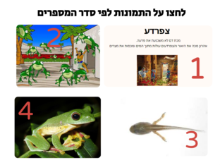 עשר מכות מצרים by תמי דראי