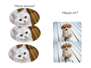 Үйде не бар? by Бота Бота