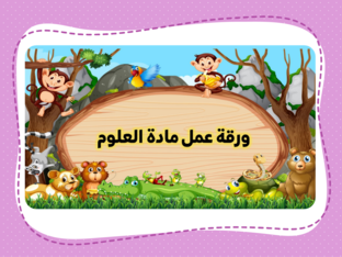 السلاسل والشبكات الغذائية by Doaa Hamdy