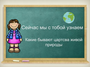 Как устроен мир by Алина Губайдуллина