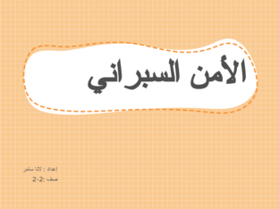 الامن السبراني  by Lana Sam