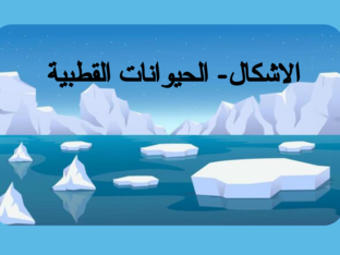 الاشكال- الحيوانات القطبية by mona alyafai