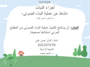 عملية البناء الضوئي by Sora yon