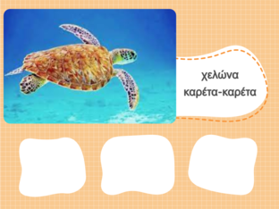 χελώνα καρέτα καρέτα by Eleni Barba